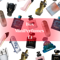 BOX PERFUMES MINI 1.1