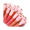 LIP INYECTION LIP GLOSS